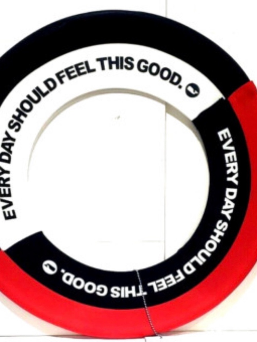 Vineyard Vines x Target frisbee